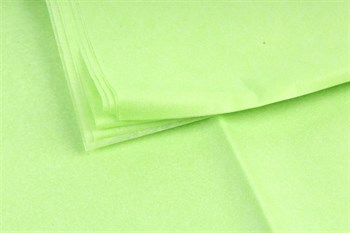 Бумага тишью  50*66 см "Светло-зеленый" - фото 5115