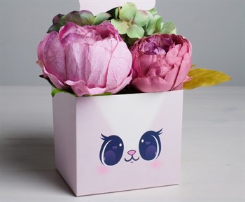 Коробка для цветов с топпером «Котик», 11 х 12 х 10 см - фото 7691