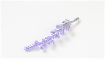 Цветок лаванды, фиолетовый - фото 8751
