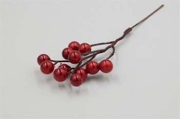 Ветка ягодки калины "Стешка" - фото 8890