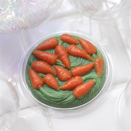 Лежанка / морковки ММ пластиковая форма
