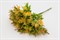 Срез оленьи рожки цветущие " Вилли" Желтый - фото 8057